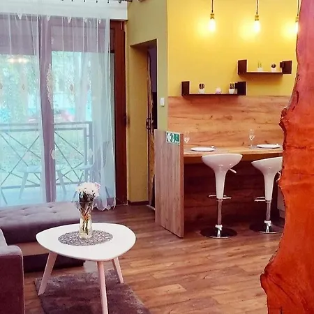 Tosic Apartment Sombor